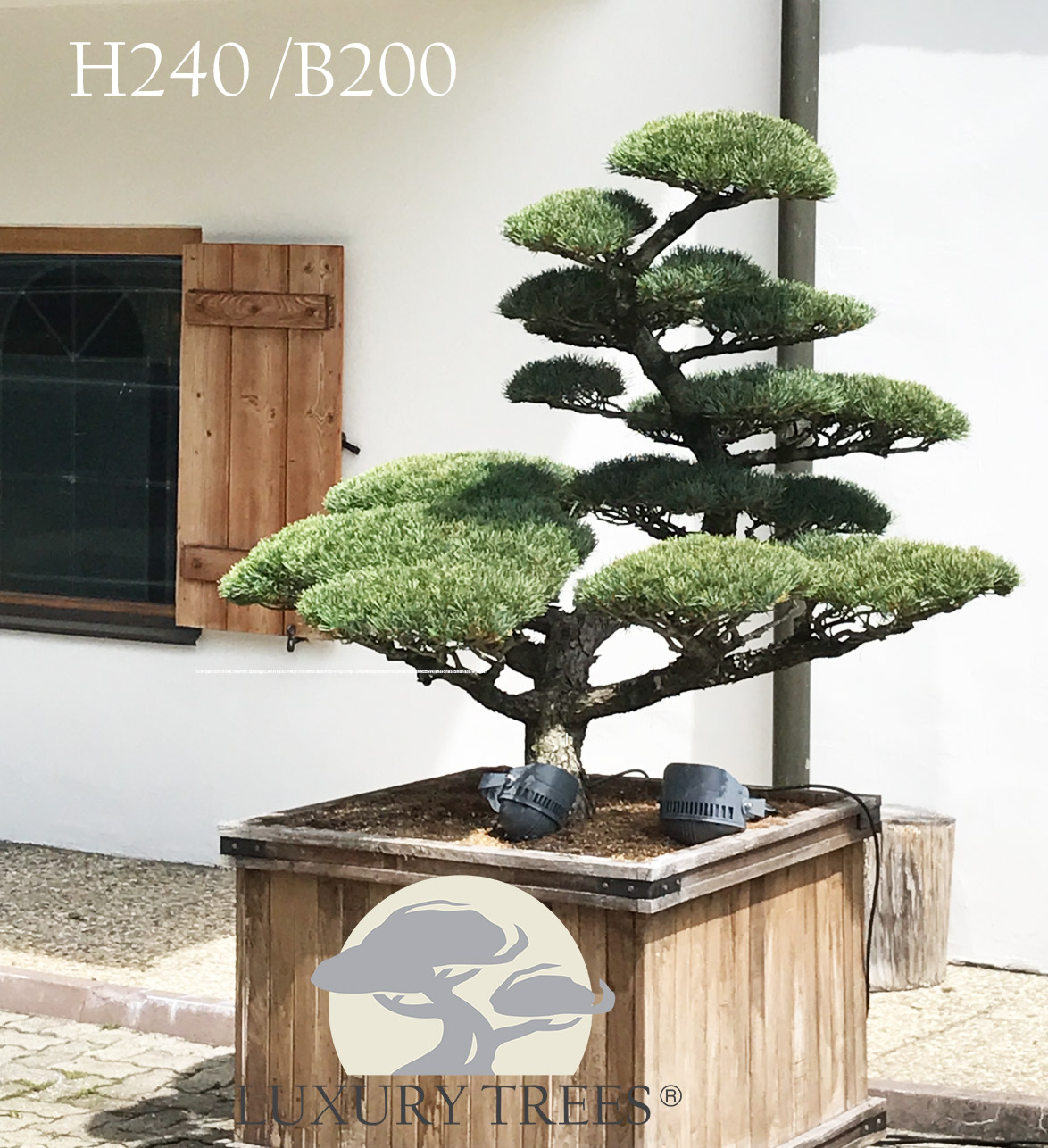 AB Tools 'Beware Of The Wife' Schild – Lustiges Gusseisen-Schild Für Garten, Zaun Oder Haustür
