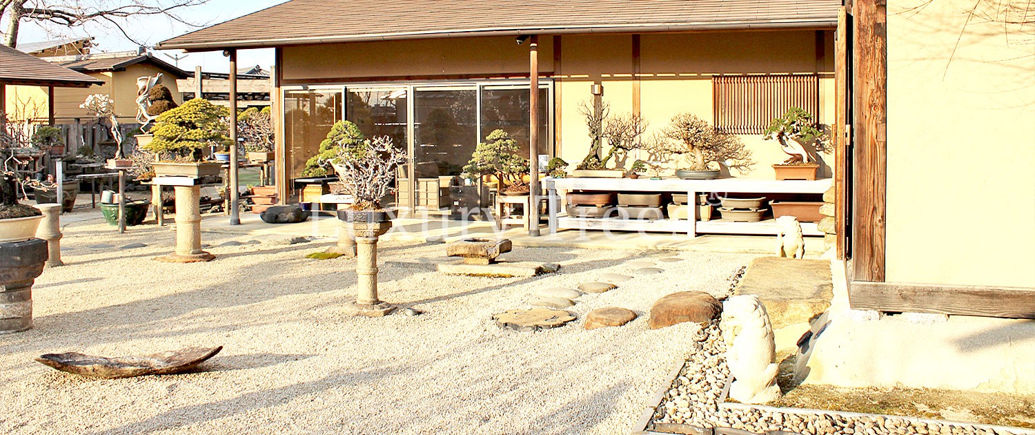 Gartencenter-3