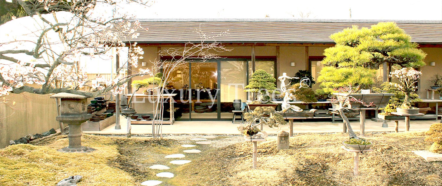 Gartencenter