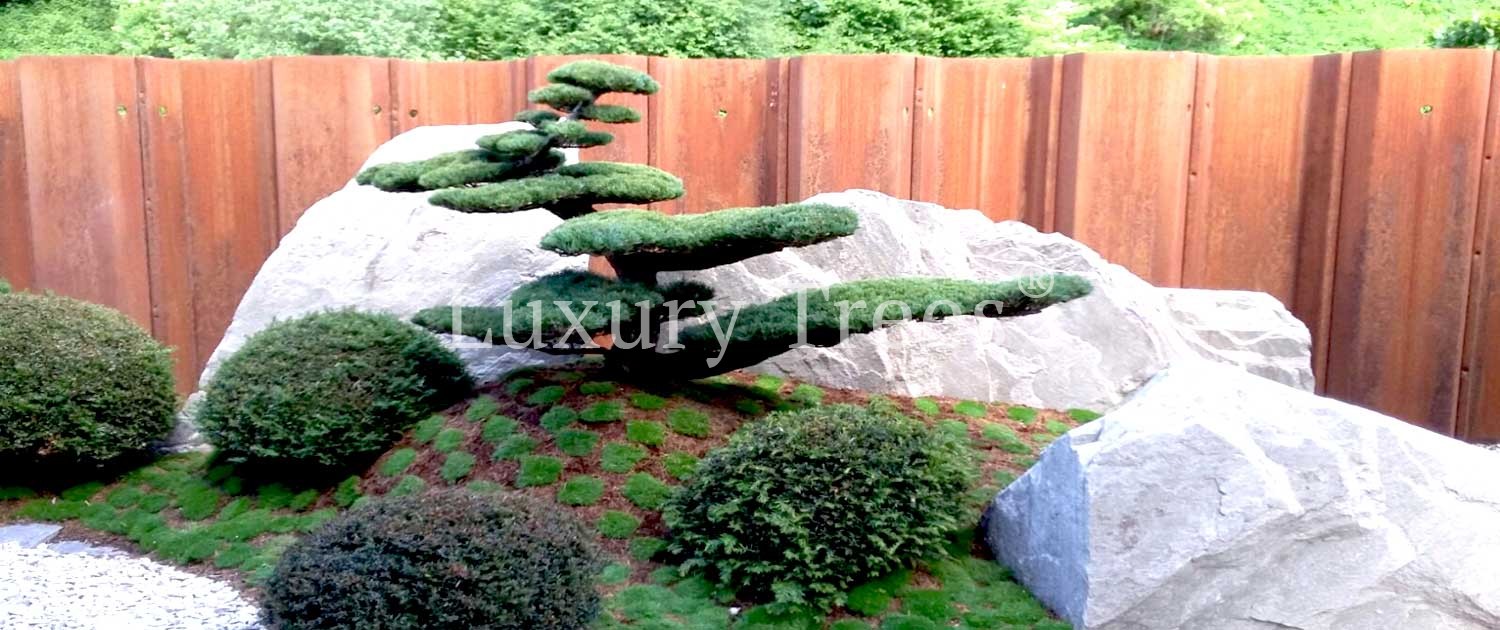 asiatischer-garten-asiatische-gaerten-design-garten-design-gaerten-luxurytrees-1