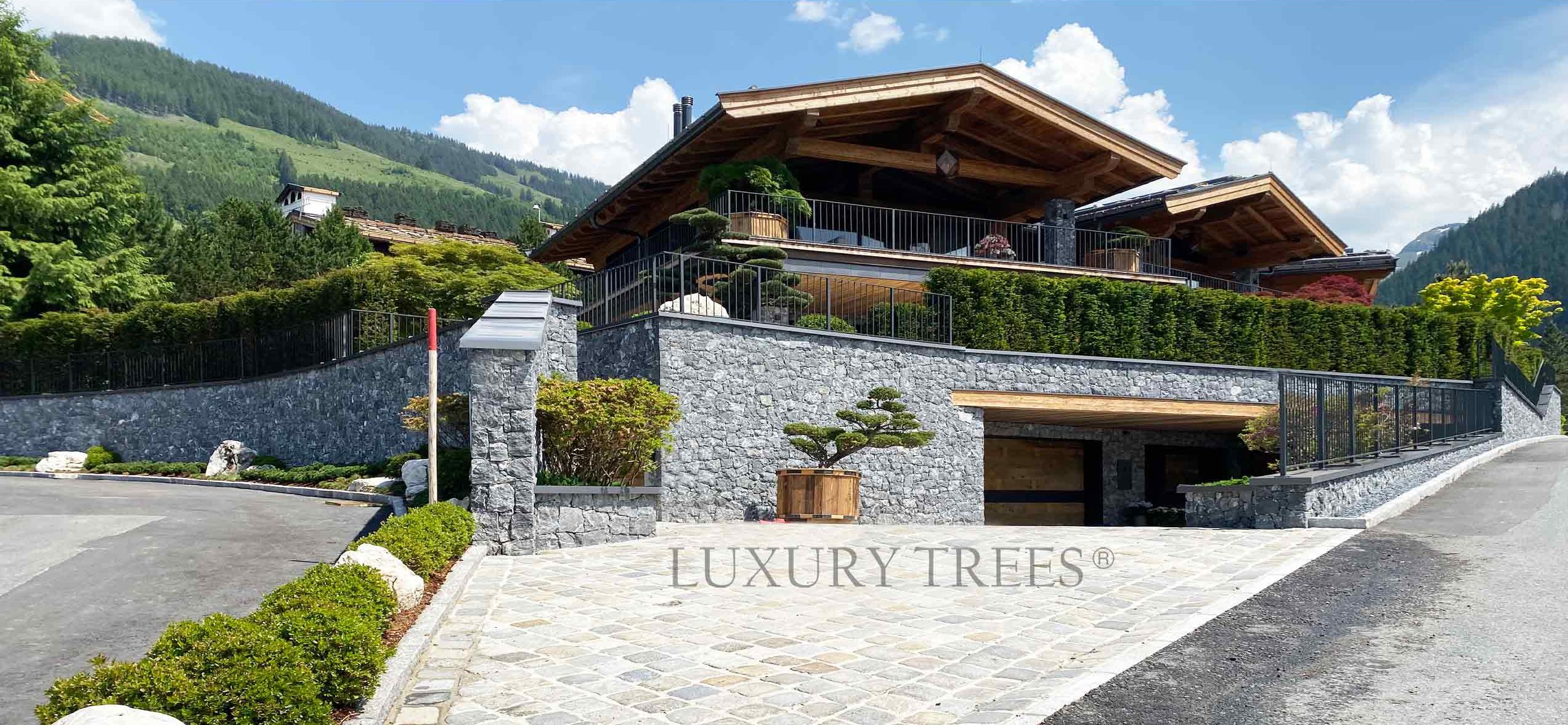 gartengestaltung-gartenarchitekt-gartendesign-swimmingpool-exklusive-gaerten-exklusive-gartengestaltung-luxurytrees-main-2-e1639499150714