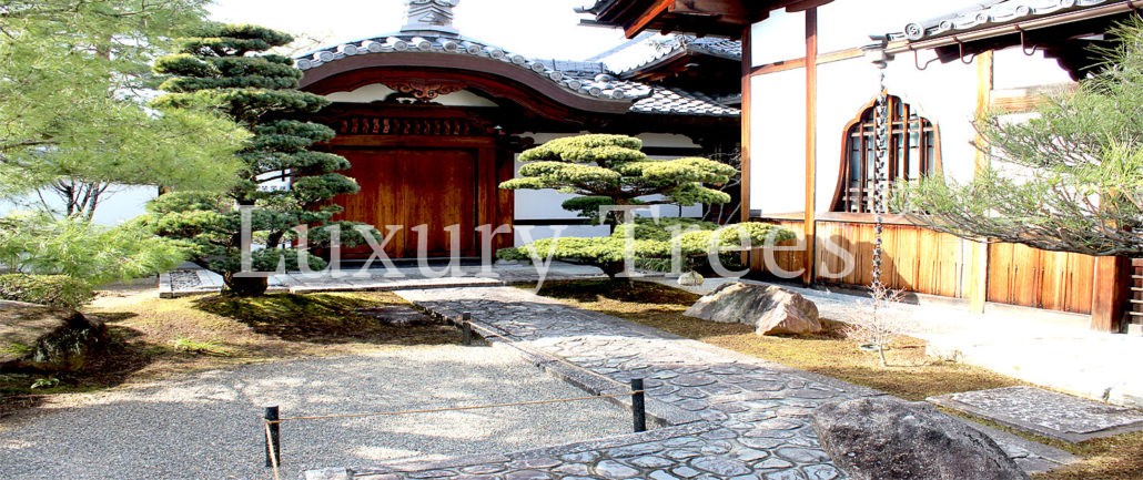 japanischer-garten-japanische-gaerten-1030x433