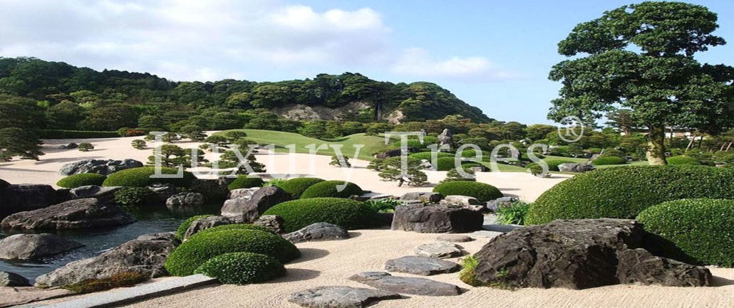 japanischer-garten-japanische-gaerten-4-1030x433