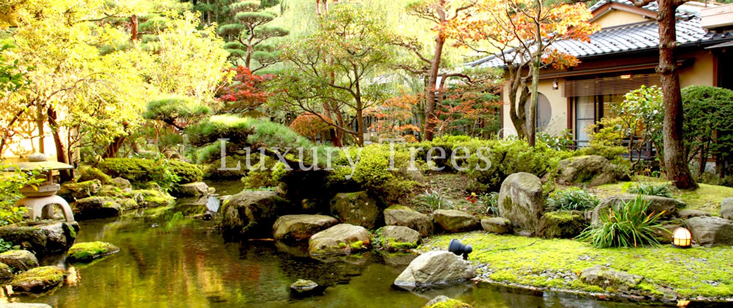 koiteich-koiteiche-japanischer-garten-moderne-gartengestaltung-gartengestaltung-mit-wasser-1500x630