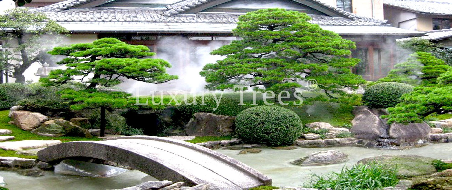 koiteich-koiteiche-japanischer-garten-moderne-gartengestaltung-gartengestaltung-mit-wasser-2-1500x630