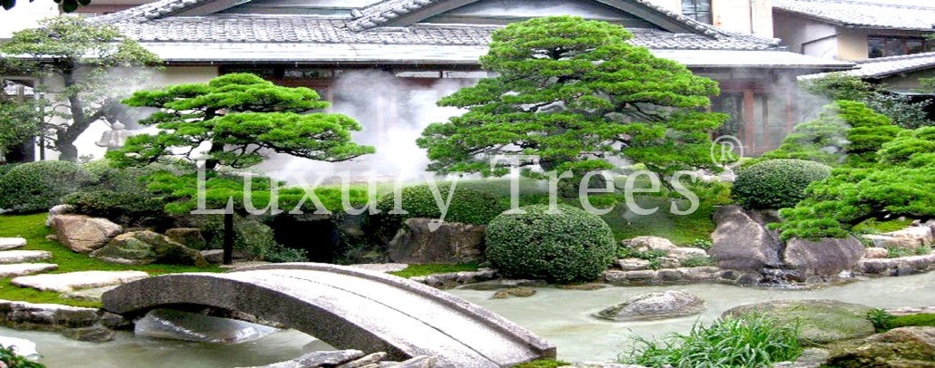 koiteich-koiteiche-japanischer-garten-moderne-gartengestaltung-gartengestaltung-mit-wasser-3.1-1030x406