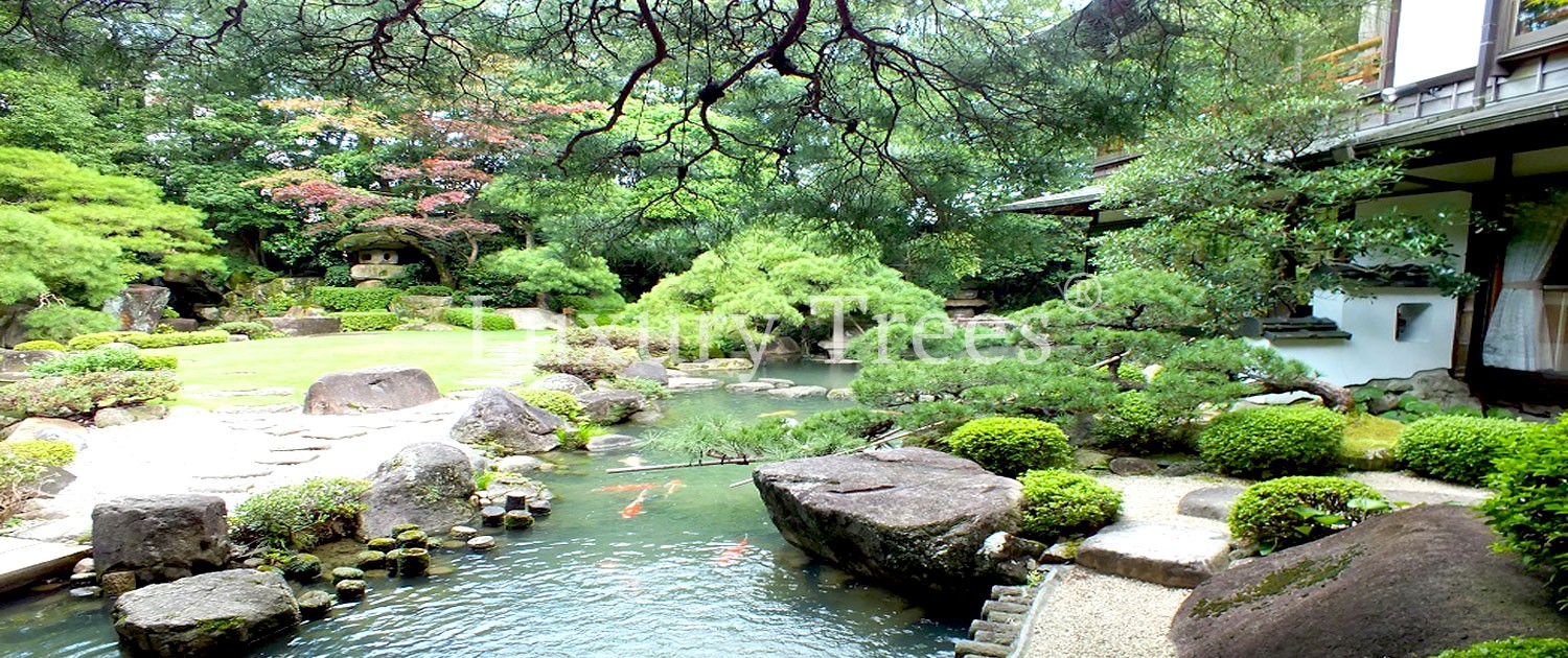 koiteich-koiteiche-japanischer-garten-moderne-gartengestaltung