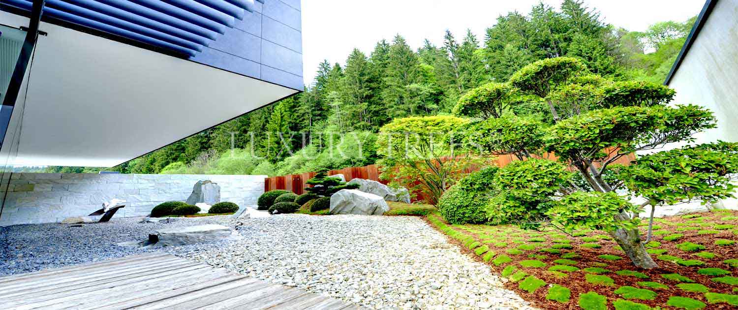 gartengestaltung-asiatischer-garten-asiatische-gaerten-design-garten-design-gaerten-signature-gartendesign-signature-gardendesign-luxurytrees-3