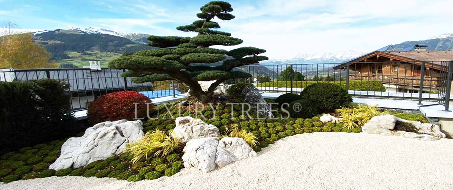 gartengestaltung-asiatischer-garten-asiatische-gaerten-design-garten-design-gaerten-signature-gartendesign-signature-gardendesign-luxurytrees-8