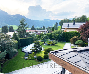 luxus-garten-luxus-gaerten-traum-garten-traum-gaerten-1 luxus-garten-luxus-gaerten-traum-garten-traum-gaerten-1