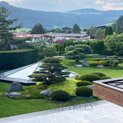 gartengestaltung-kitzbuehel-gartengestatlung-bezirk-kitzbuehel-gartenarchitektur-kitzbuehel-gartenplanung-kitzubehel-garenarchitekt-kitzbuehel-1