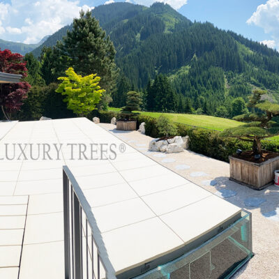 gartengestaltung-kitzbuehel-gartengestatlung-bezirk-kitzbuehel-gartenarchitektur-kitzbuehel-swimmiingpool-glaspool-1