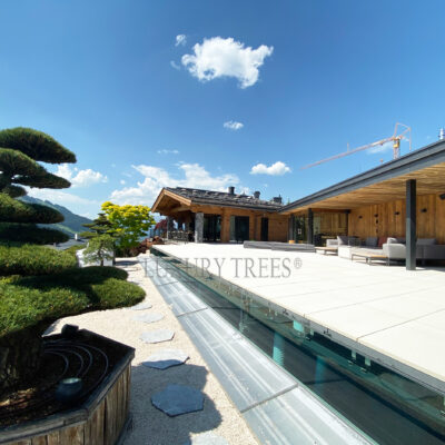 gartengestaltung-kitzbuehel-gartengestatlung-bezirk-kitzbuehel-gartenarchitektur-kitzbuehel-gartenplanung-kitzubehel-tirol-garenarchitekt-kitzbuehel-2