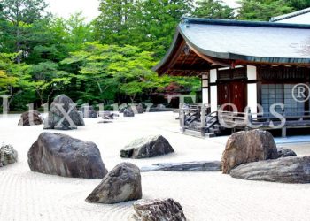 LuxuryTrees_Gallery_27-1030x433