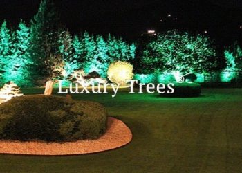 garten-mit-lich-gestalten-495x400