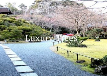 gartendesign-modern-exklusives-gartendesign-11-495x400