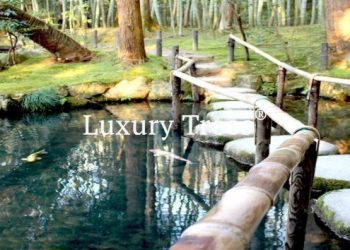 gartendesign-modern-exklusives-gartendesign-19-495x400