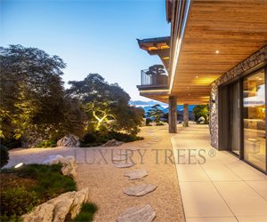 gartengestaltung-design-garten-designer-garten-gartendesign-design-gaerten gartengestaltung-design-garten-designer-garten-gartendesign-design-gaerten