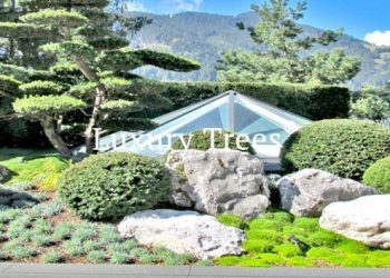 garten-design-design-garten-1