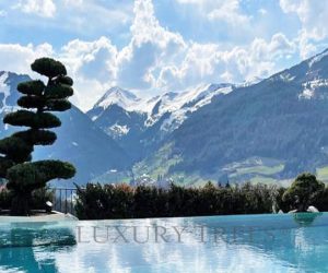 naturpool-schwimmteich-grundstueck-optimal-ausnuetzen-1 naturpool-schwimmteich-grundstueck-optimal-ausnuetzen-1