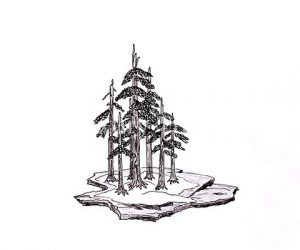 yose-ue-wald-stilform yose-ue-wald-stilform